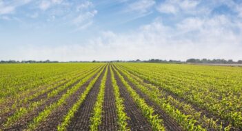 Regulating Agricultural Water Quality