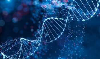 Navigating Genetic Data Privacy and Law Enforcement Access